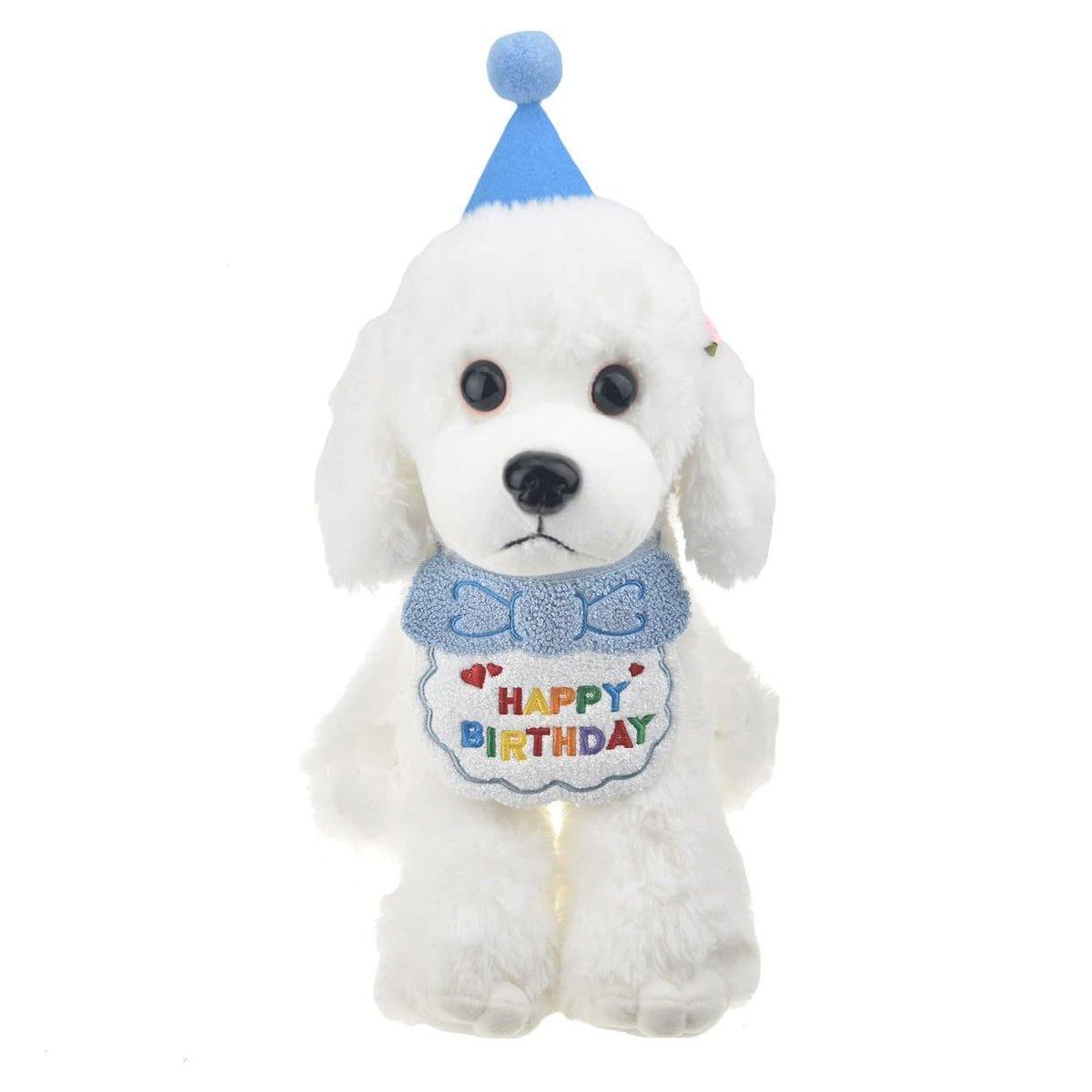 Pet Birthday Hat and Scarf Set for Dogs and Cats - Sky Blue - view 13