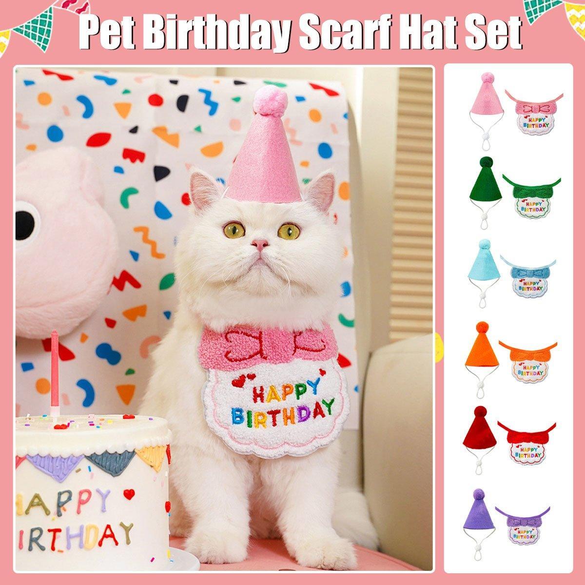 Pet Birthday Hat and Scarf Set for Dogs and Cats - Sky Blue - view 2