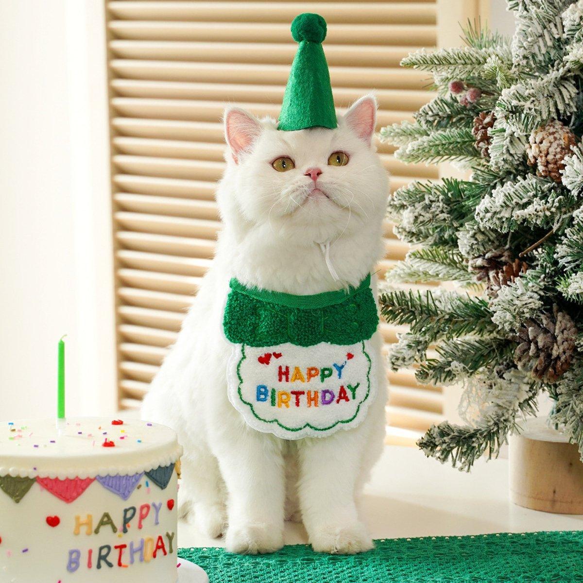 Pet Birthday Hat and Scarf Set for Dogs and Cats - Sky Blue - view 6