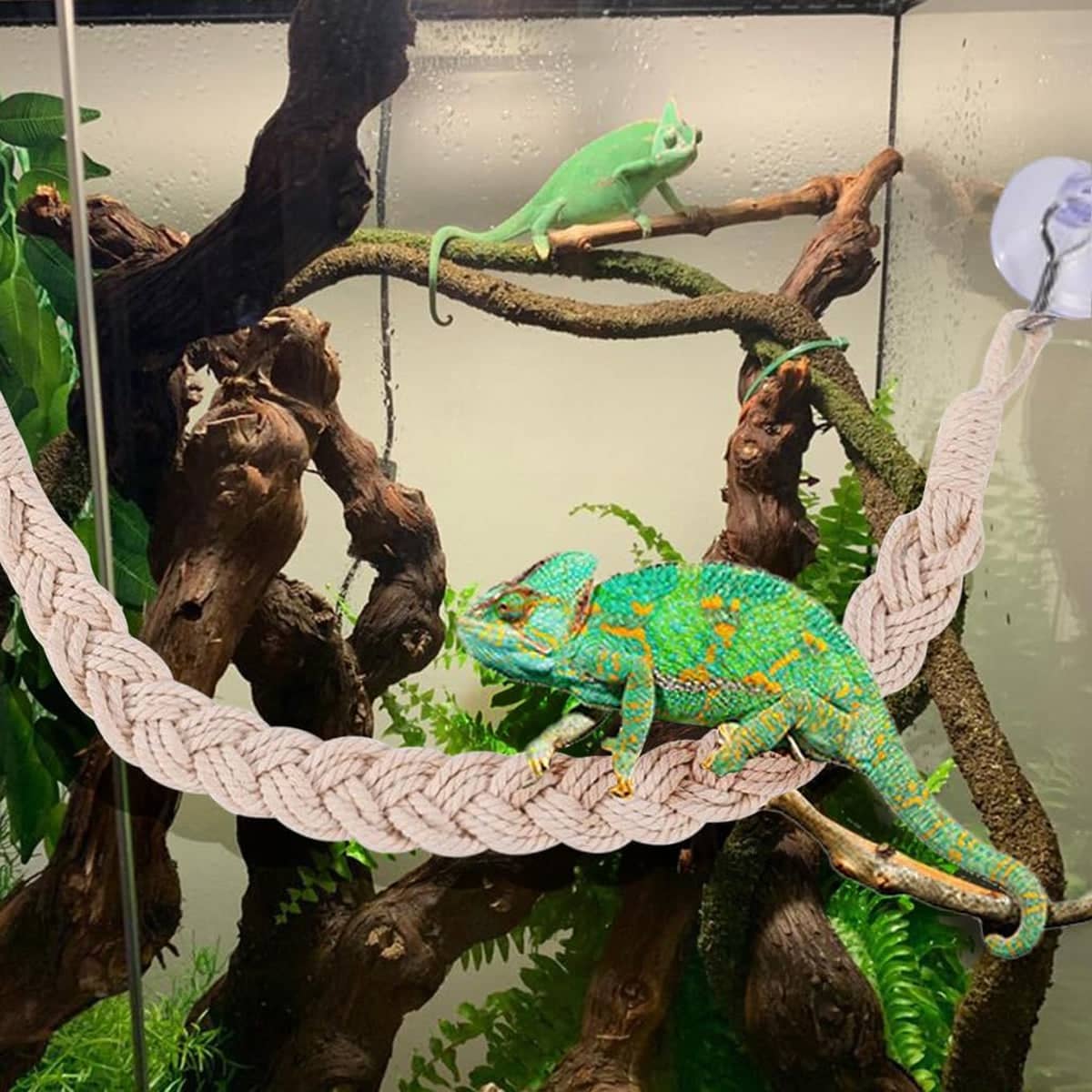 Pet Climbing Suspension Bridge Rope Swing for Reptiles and Hermit Crabs - 60 cm - view 5