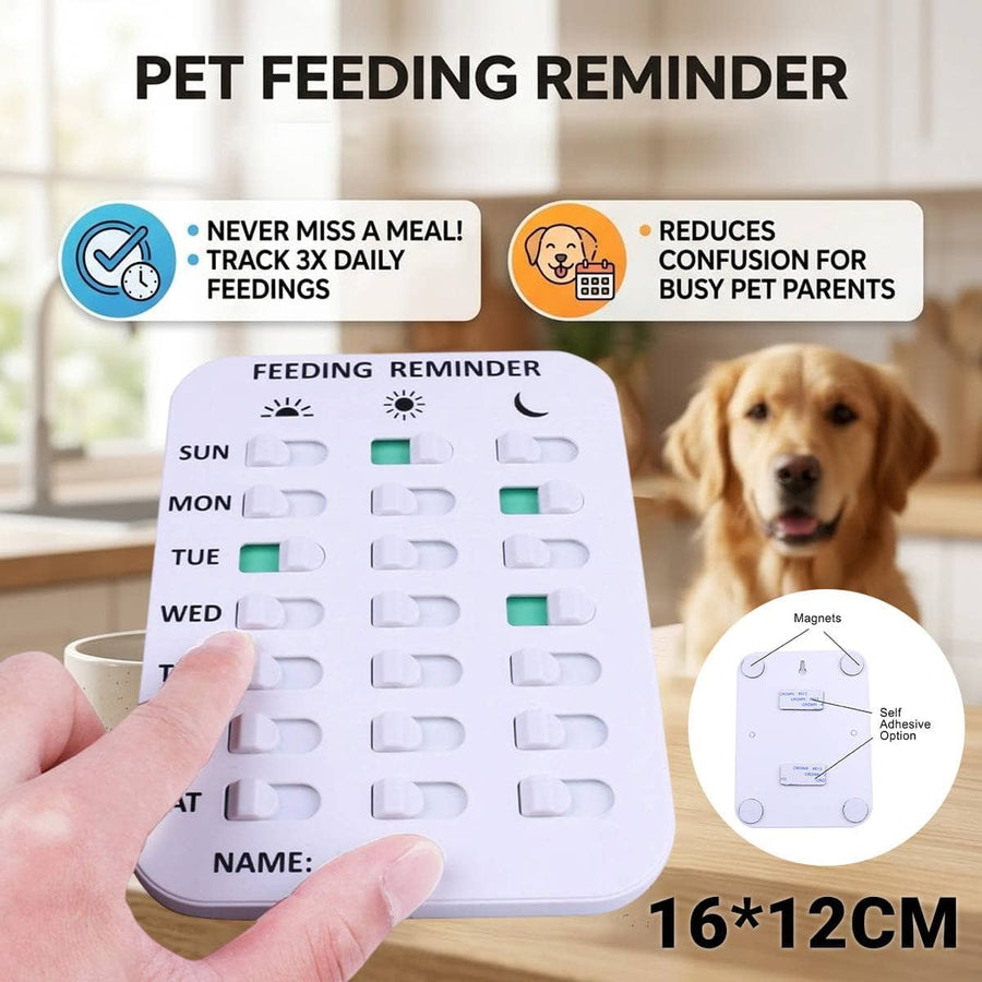 Pet Feeding Reminder Chart 3 Meals Daily Fridge Mount Purple