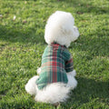 Pet Plaid Shirt - Brown, Large (Chest 45 cm, Back 35 cm) - view 5