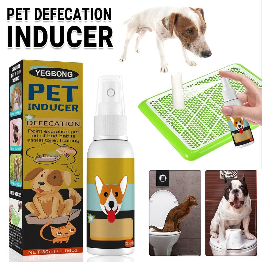 Pet Toilet Training Spray for Dogs and Cats, 30ml