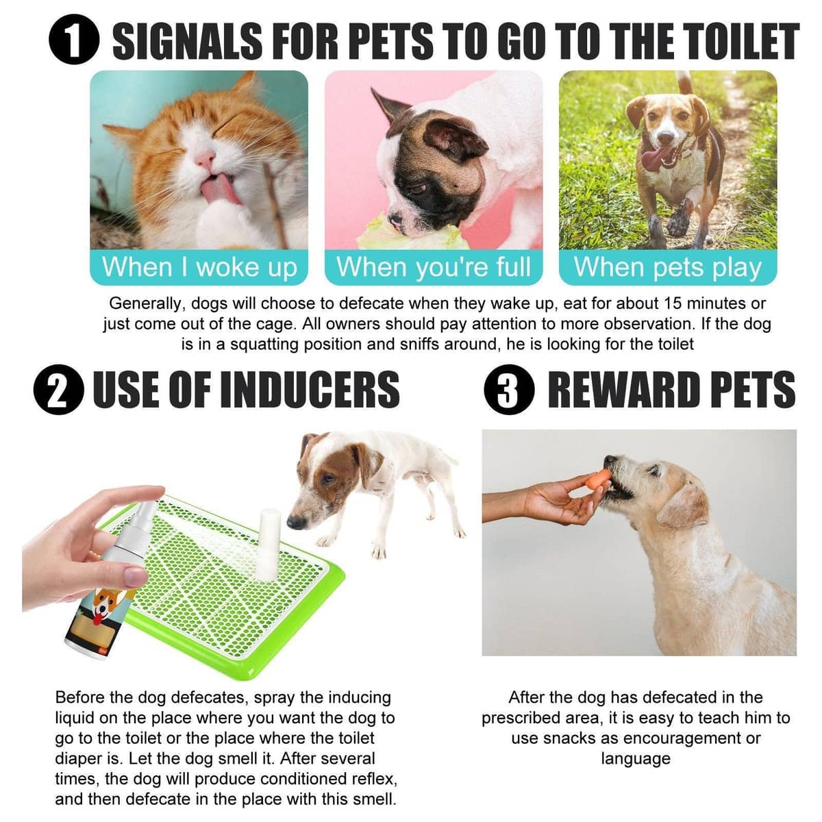 Pet Toilet Training Spray for Dogs and Cats, 30ml - view 4