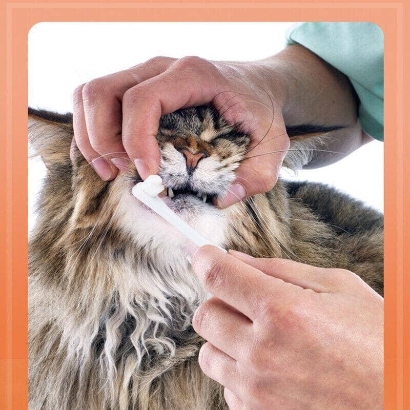 Pet Toothbrush and Toothpaste Set for Cats and Dogs - Vanilla Flavour - view 5