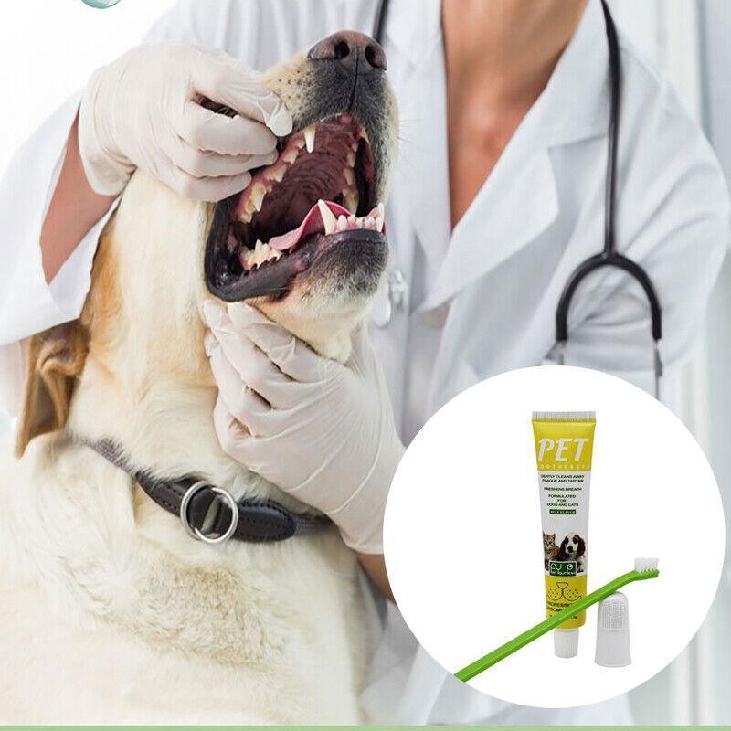 Pet Toothpaste and Toothbrush Set for Dogs and Cats, Beef Flavour - view 3
