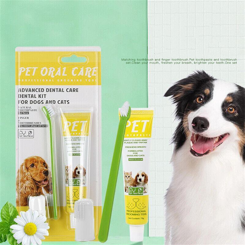 Pet Toothpaste and Toothbrush Set for Dogs and Cats, Beef Flavour - view 4