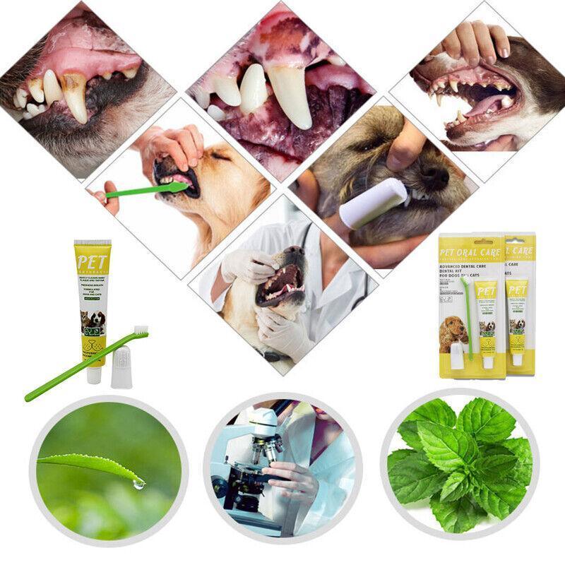 Pet Toothpaste and Toothbrush Set for Dogs and Cats, Beef Flavour - view 5