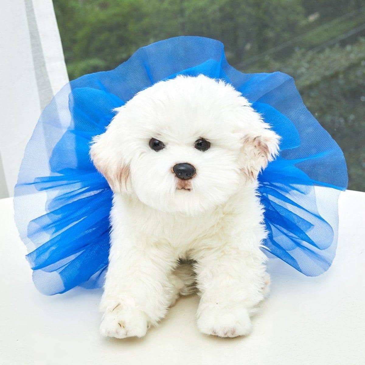 Pet Tutu Skirt for Dogs and Cats - Rainbow, Medium (Skirt Width 25 cm) - view 5