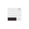 Piano Keyboard Stickers, 88 Keys, Transparent - Multicolour Lettering