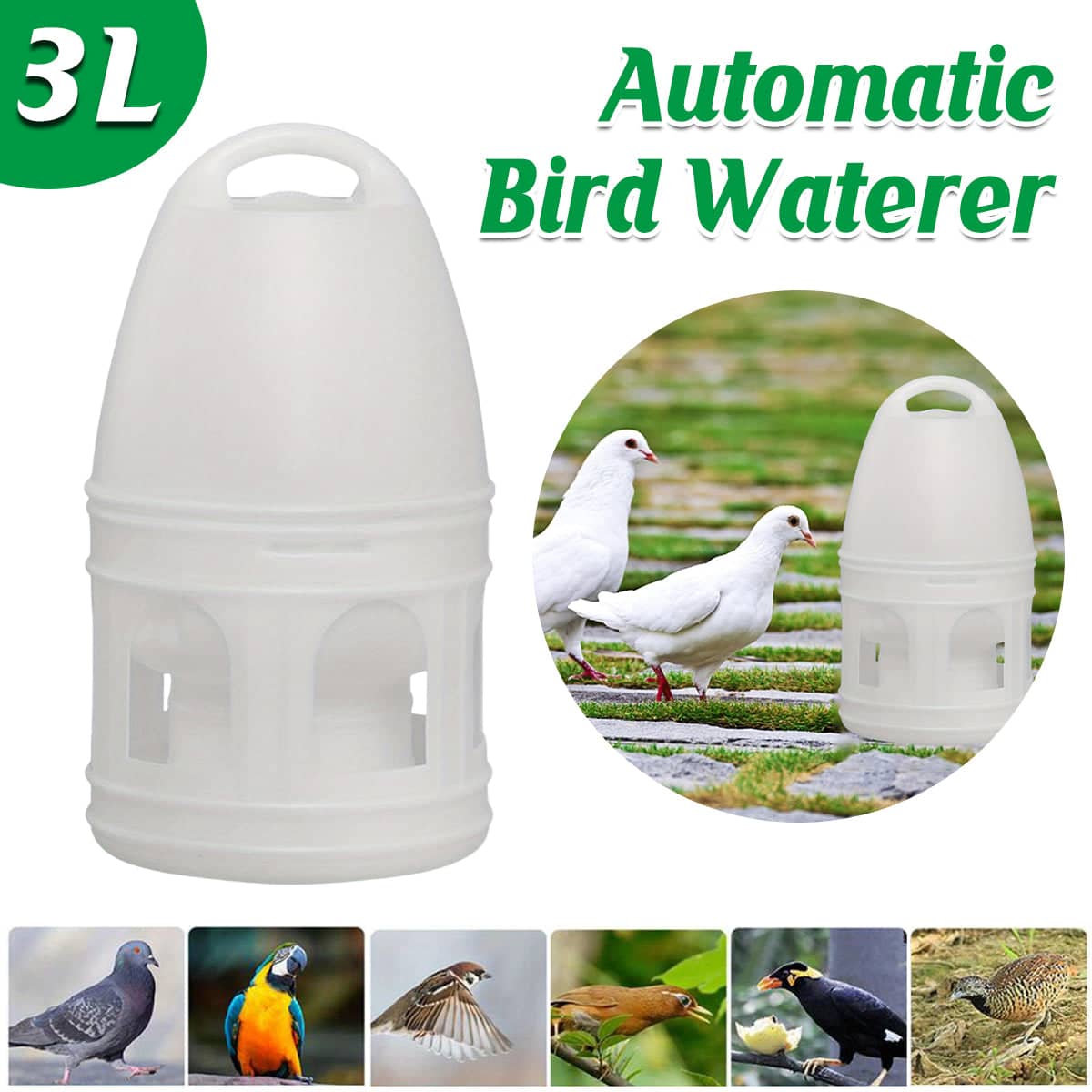 Pigeon Drinker 3 Litre White Plastic Bird Water Dispenser with Handle
