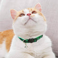 Plaid Cat Collar with Breakaway Buckle and Bell - Orange - view 5