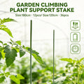 Plant Support Stakes for Climbing Plants - 180 x 2 cm, Pack of 12 - view 2