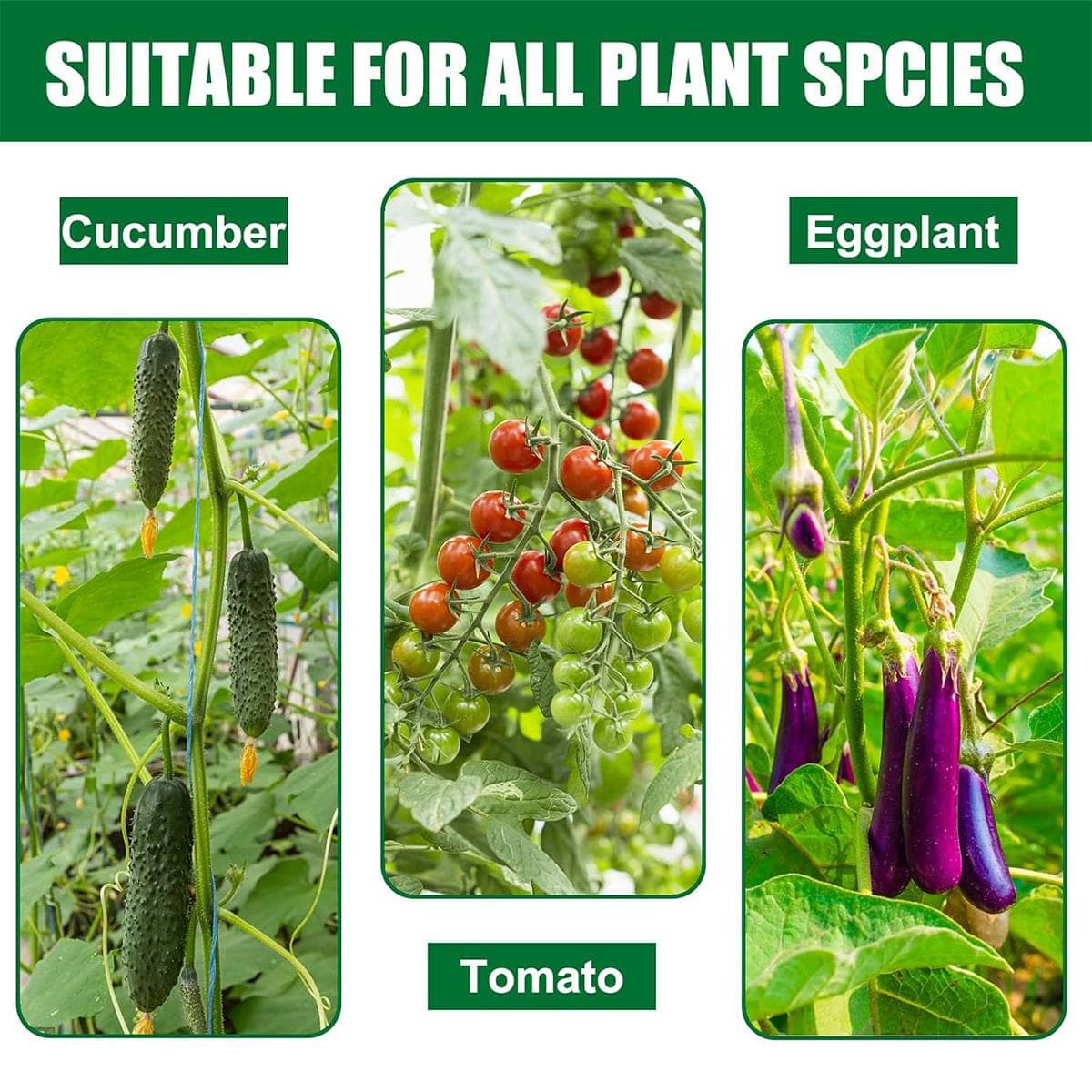 Plant Support Stakes for Climbing Plants - 180 x 2 cm, Pack of 12 - view 5
