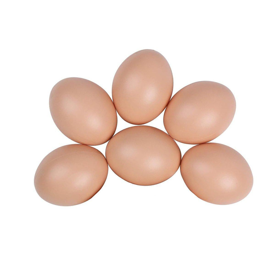Plastic Painting Eggs for DIY Craft - Pack of 6