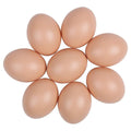 Plastic Painting Eggs for DIY Craft - Pack of 6 - view 3