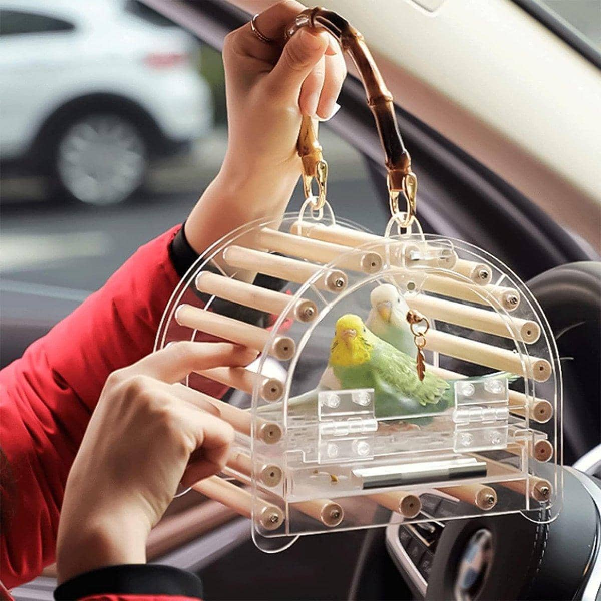 Portable Acrylic Bird Carrier Cage with Wooden Perches and Handle - view 4
