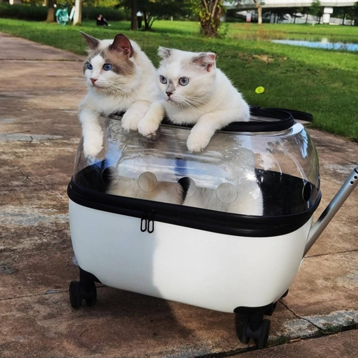 Portable Pet Trolley Carrier Travel Case for Cats and Small Dogs - view 5