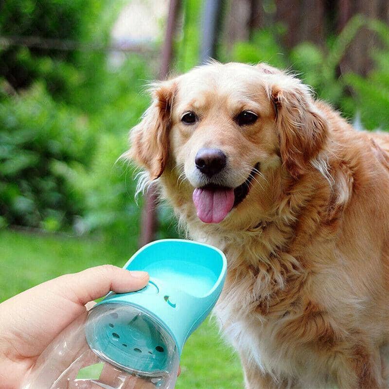 Portable Pet Water Bottle for Dogs and Cats, 350 ml - Green - view 4