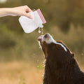 Portable Silicone Pet Water Bottle, Pink, 320ml - view 5