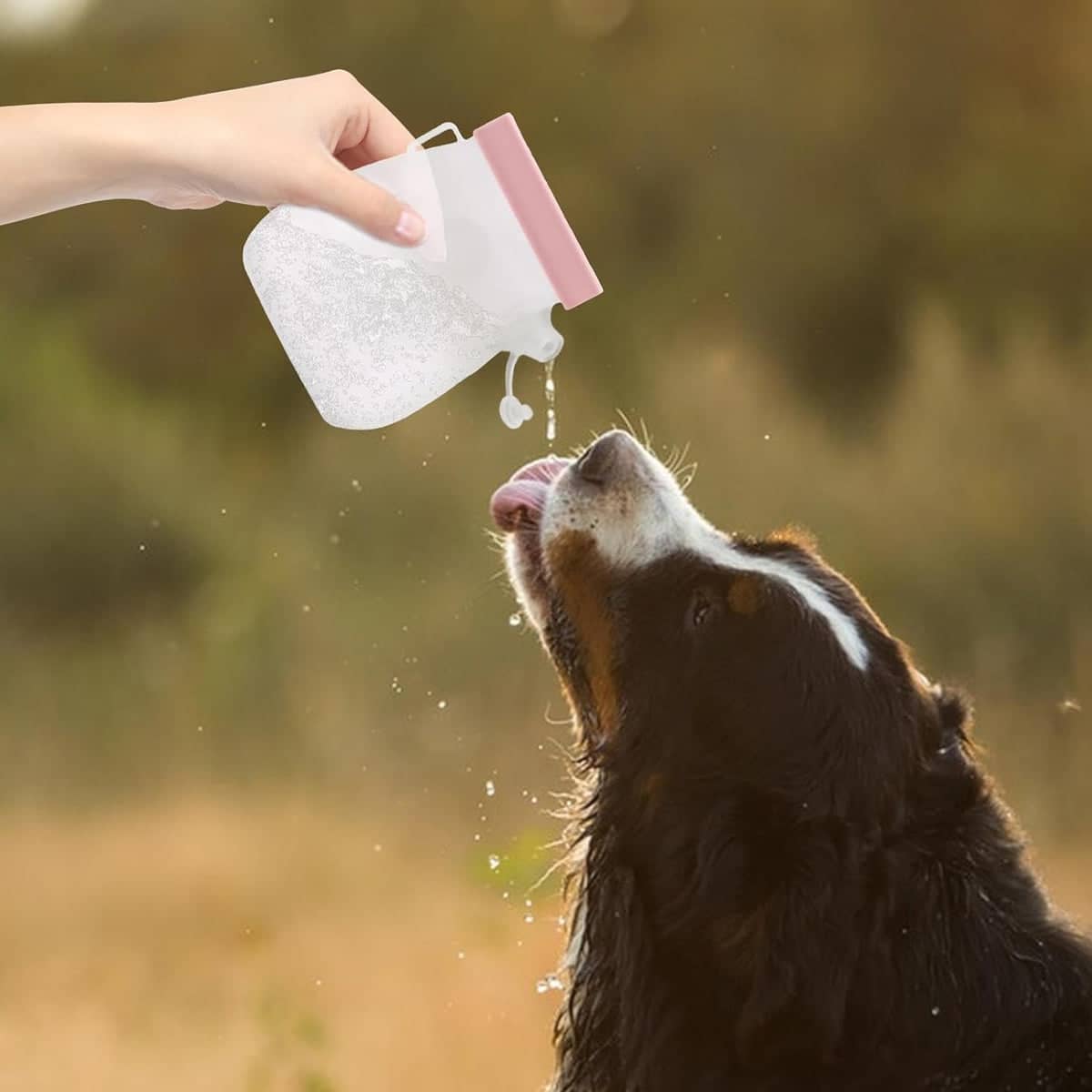 Portable Silicone Pet Water Bottle, Pink, 320ml - view 5