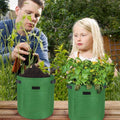 Potato Grow Bag 10 Gallon, 35 x 40 cm - Brown - view 4