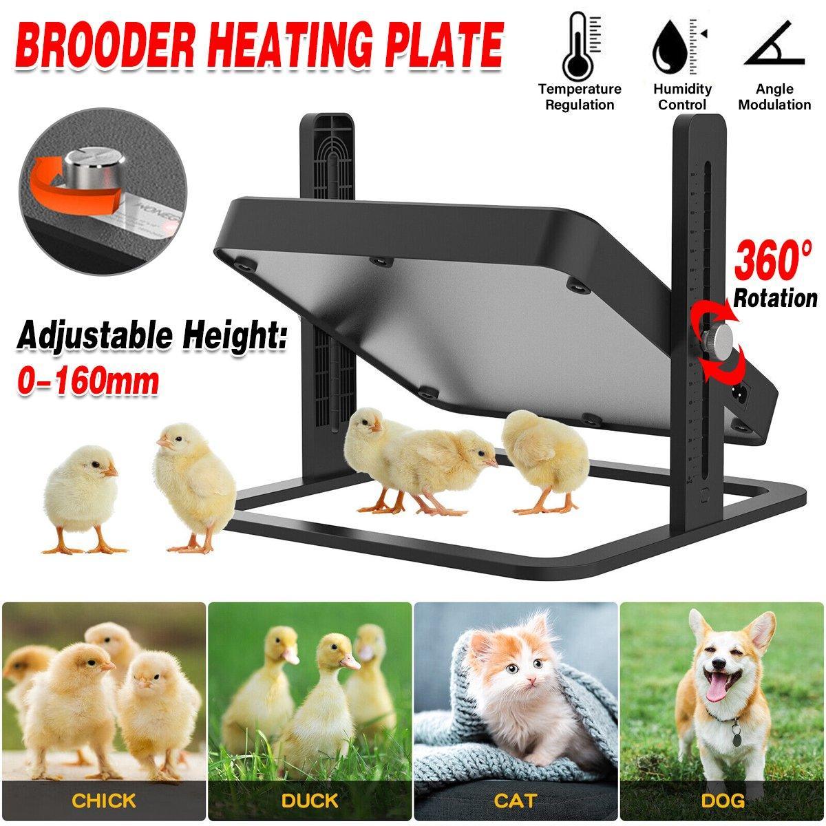 Poultry Heating Plate Brooder for Chicks and Ducklings, 18 W, 27 x 27 cm