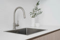 Barazza R15 single bowl sink - Stainless steel, flush mount with waste included - 1X4540I