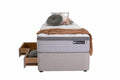 Sealy Posturepedic Laynee Flex Medium Long Single Mattress - 2 Stage Titanium AlignSupport - 735615