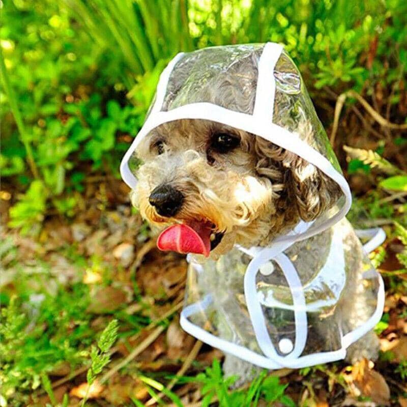 Puppy Waterproof Dog Raincoat Jacket with Hood Rain Coat Outdoor - Size S (Neck 28 cm, Length 24 cm) - view 3