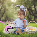 Rabbit Harness and Leash Set with Bow Tie - Grey, Medium (Neck 24-28 cm) - view 4
