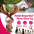 Rabbit Shaped Dog Chew Toy with Beef Flavour, Durable Nylon Teeth Cleaning Toy