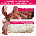 Rabbit Shaped Dog Chew Toy with Beef Flavour, Durable Nylon Teeth Cleaning Toy - view 4