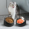 Raised Pet Food Bowl Tilted Non-Slip Stainless Steel Dog Cat Feeder - Matcha Green - view 4