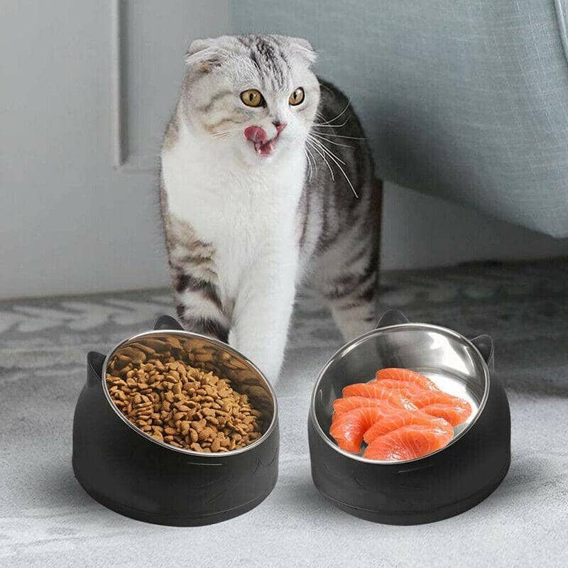 Raised Pet Food Bowl Tilted Non-Slip Stainless Steel Dog Cat Feeder - Matcha Green - view 4