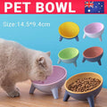 Raised Tilted Cat Bowl 15 Degree Elevated Pet Feeder - Moff Green