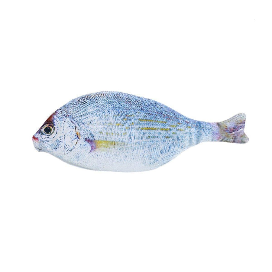 Realistic Fish Pencil Case, Large Capacity - Silver Round Fish