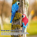 Realistic Resin Parrot Wall Hanging Pair for Home and Garden - Red - view 5
