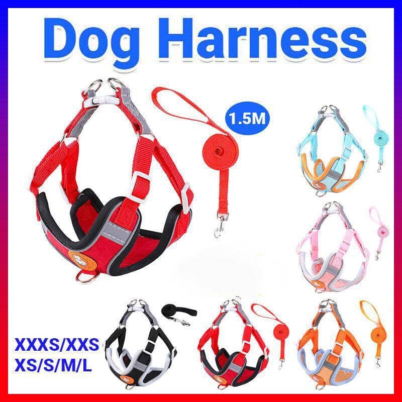 Reflective Dog Harness with 1.5 m Leash - Blue, Size M (Chest 54-64 cm) - view 2