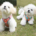 Reflective Dog Harness with 1.5 m Leash - Blue, Size M (Chest 54-64 cm) - view 4