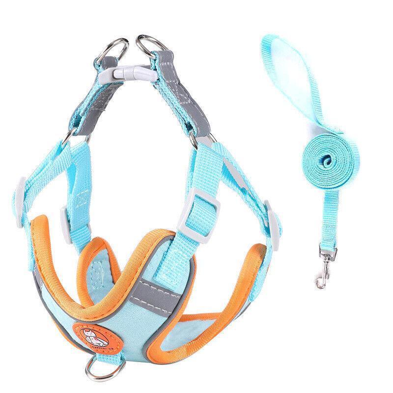 Reflective Dog Harness with 1.5 m Leash - Blue, Size S (Chest 47-54 cm)