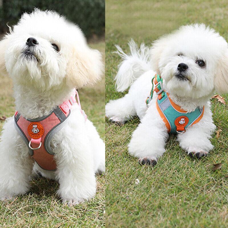 Reflective Dog Harness with 1.5 m Leash - Blue, Size S (Chest 47-54 cm) - view 4
