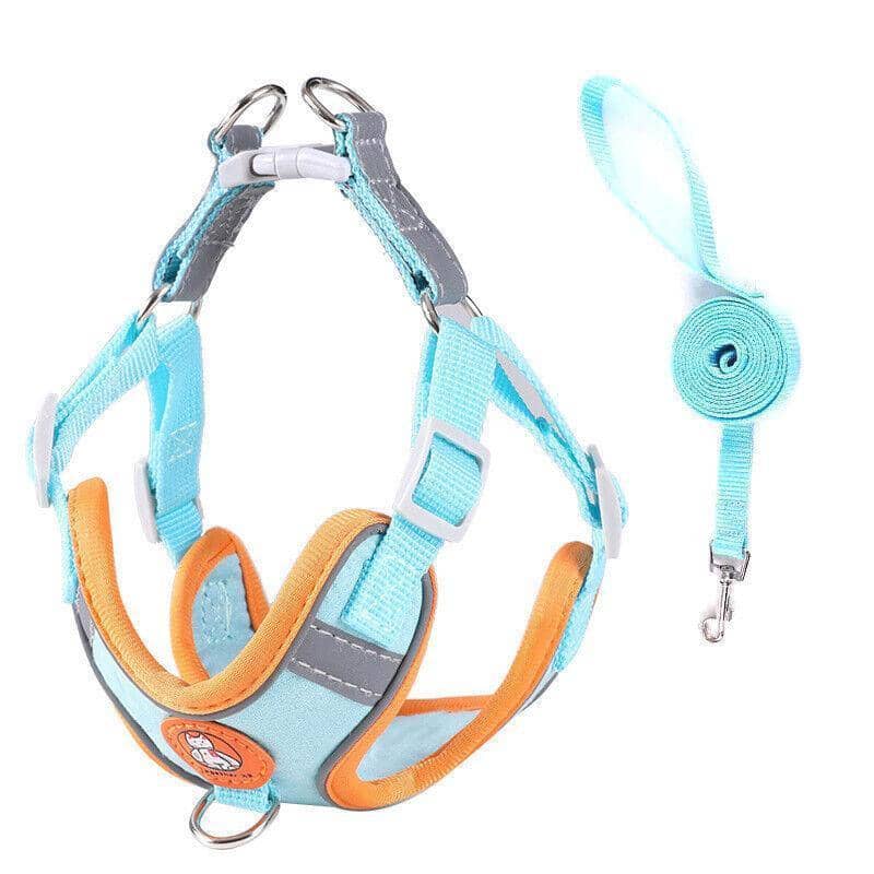 Reflective Dog Harness with 1.5 m Leash - Blue, Size XXS (Chest 32-41 cm)