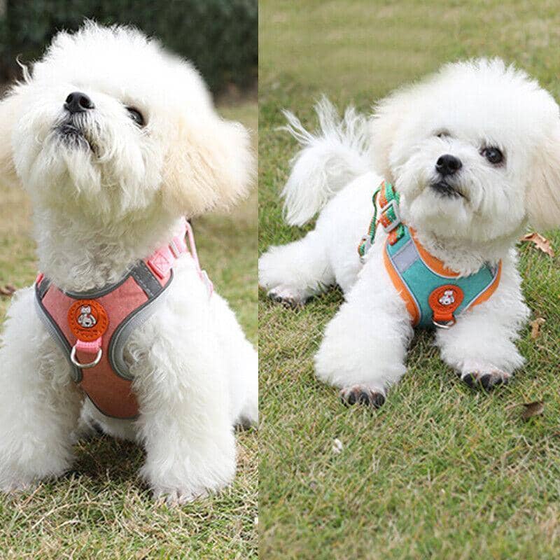 Reflective Dog Harness with 1.5 m Leash - Blue, Size XXS (Chest 32-41 cm) - view 4