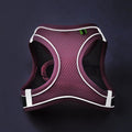 Reflective Dog Harness with 1.5 m Leash - Teal, Size L (Neck 44-52 cm, Chest 50-59 cm) - view 3
