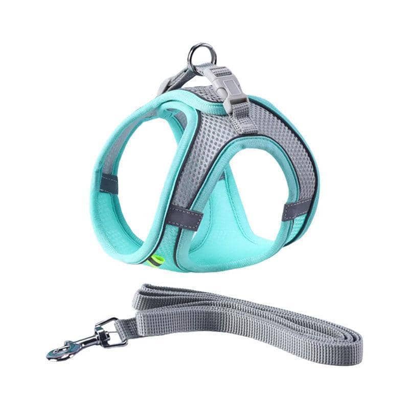 Reflective Dog Harness with 1.5 m Leash - Teal, Size XS (Neck 29-32 cm, Chest 31-34 cm)