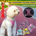 Reflective Dog Harness with 1.5 m Leash - Teal, Size XS (Neck 29-32 cm, Chest 31-34 cm) - view 2