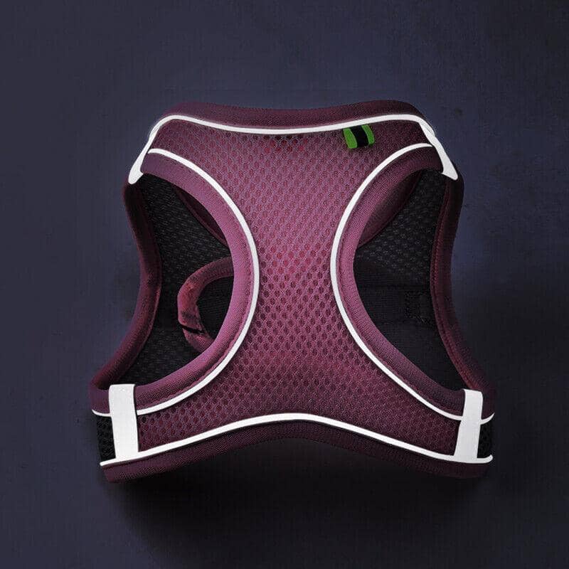 Reflective Dog Harness with 1.5 m Leash - Teal, Size XS (Neck 29-32 cm, Chest 31-34 cm) - view 3