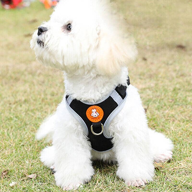 Reflective Dog Harness with Leash - Black, XXS (Chest 32-41 cm) - view 4