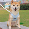 Reflective Dog Harness Vest with Leash - Blue, Medium (Neck 42-52 cm)